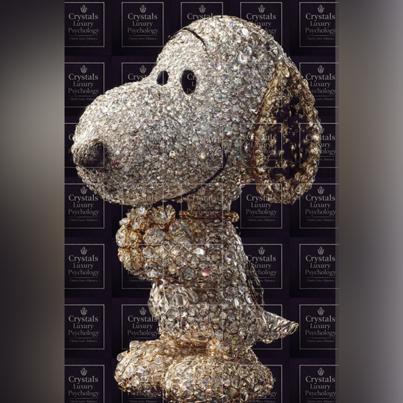 DrPsych_Faves12 is Live! Your Crystal Luxury Doctor! Gold ⭐️ Posh Ambassador! - Picture 17 of 17